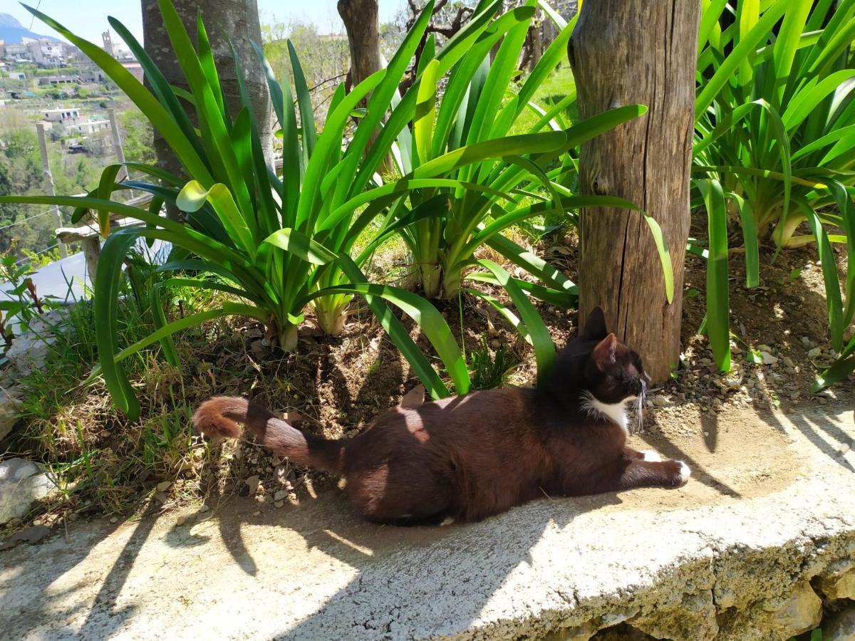 Casa Mia Villa Scala Dış mekan fotoğraf