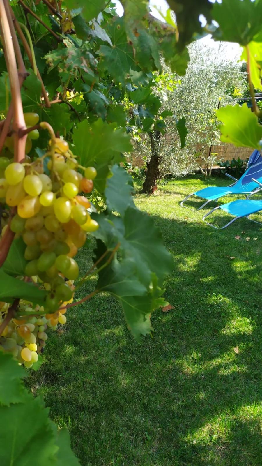 Casa Mia Villa Scala Dış mekan fotoğraf