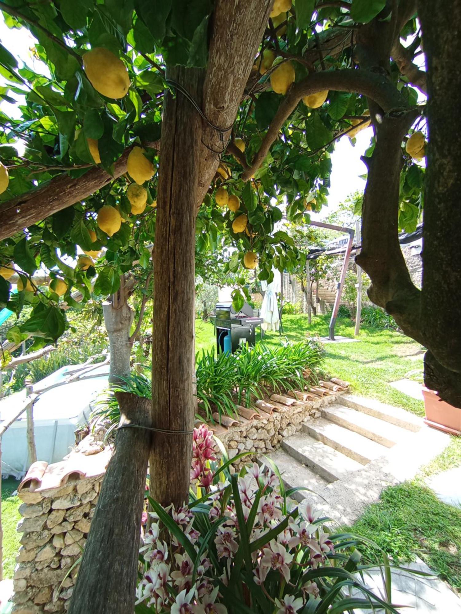 Casa Mia Villa Scala Dış mekan fotoğraf